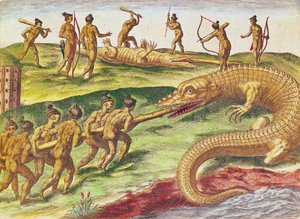 Caçando Crocodilos, de &39;Brevis Narratio ...&39;, publicado por Theodore de Bry, 1591, (gravura a cores) de after Le Moyne, J.Bry