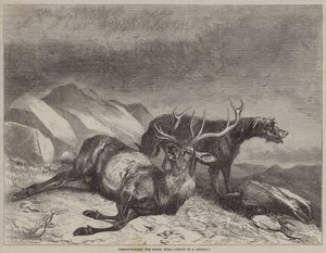 Deer-Stalking, o veado agonizante de after Richard Ansdell