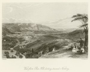 Vista da Box Hill, olhando para Norbury