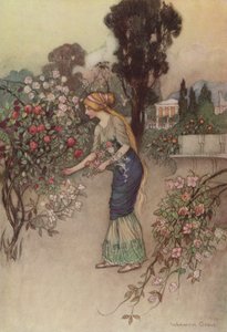 Geoffrey Chaucer, O Conto dos Cavaleiros de after Warwick Goble