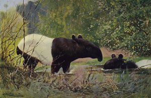Índios Tapir de after Wilhelm Kuhnert