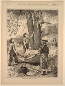 Castanheira de Winslow Homer