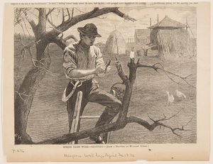 Trabalho na Fazenda da Primavera - Enxertia de Winslow Homer
