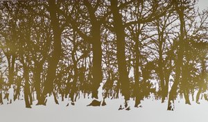 Árvores da vida, 2017, rolo de folhas de estampagem a quente sobre papel de angus hampel