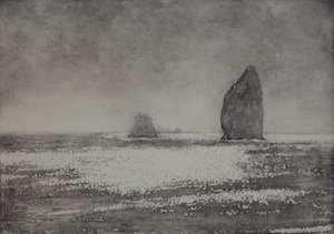 Trindade, 2017, aquatint e mão para colorir em papel de angus hampel