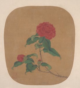 Flores de camélia de anonymous 