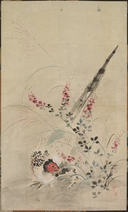 Faisão e gramíneas de attributed to Ogata Kōrin