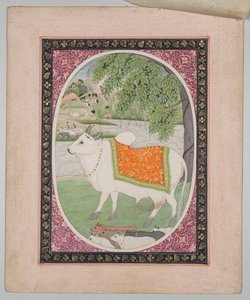 Touro, de uma série de astrologia Mandi de attributed to Sanju