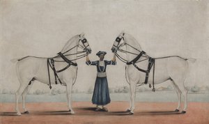 Um noivo Syce segurando dois cavalos de carruagem, ca. 1845. de attributed to Shaikh Muhammad Amir of