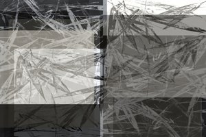 Textura abstrata de bambu de cartissi