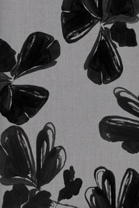 Resumo: Flores Negras de cartissi