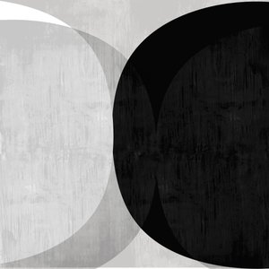 Curvas abstratas em preto e branco de cartissi