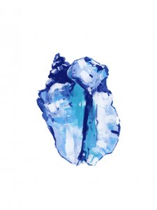 Concha Azul Abstrata de cartissi