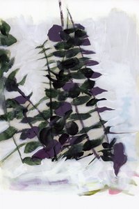 Folhagem botânica abstrata de cartissi