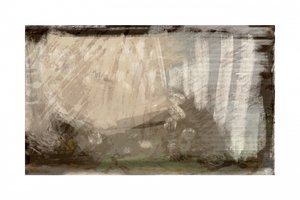 Resumo: Luz da Floresta de cartissi