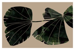 Folhas verdes abstratas de cartissi