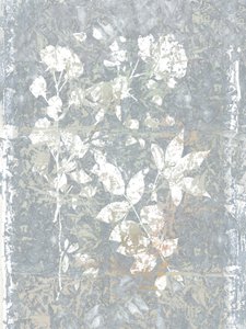 Resumo: Grey Botanicals de cartissi