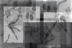 Folhagem cinzenta abstrata de cartissi