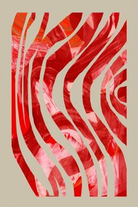 Resumo: Fluxo Vermelho de cartissi