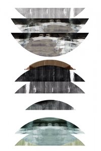 Curvas abstratas sobrepostas de cartissi