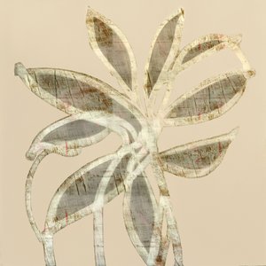 Folhas com textura abstrata de cartissi