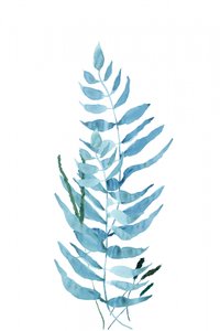 Feto em aquarela azul de cartissi