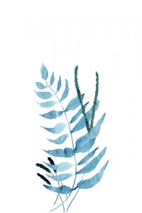 Fetos em aquarela azul de cartissi