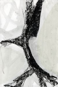 Abstrato monocromático arrojado de cartissi