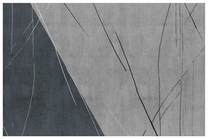 Linhas abstratas em cinzento frio de cartissi