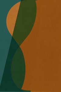 Formas Curvas Coloridas de cartissi