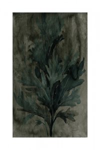 Folhagem verde-escura de cartissi