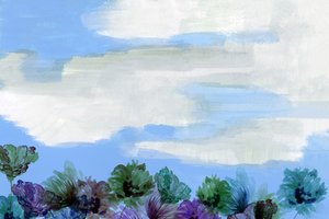 Céu floral de sonho de cartissi