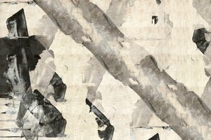 Formas monocromáticas dinâmicas de cartissi