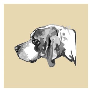 Perfil de um cão elegante de cartissi