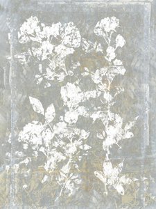 Silhueta floral desbotada de cartissi