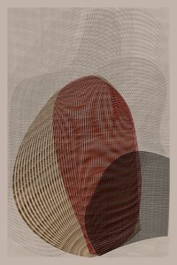 Formas abstratas fluidas de cartissi