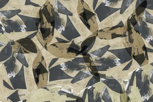 Folhas geométricas em camadas de cartissi