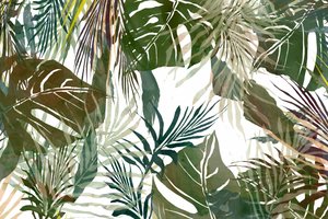 Folhas tropicais exuberantes de cartissi