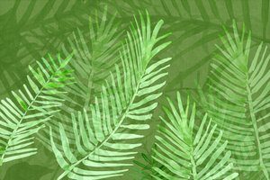 Folhas de palmeira tropical exuberantes de cartissi