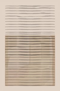 Linhas minimalistas e terrosas de cartissi