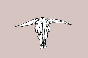 Crânio Longhorn Minimalista de cartissi