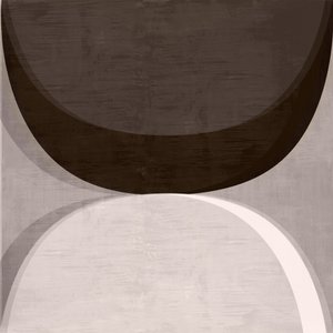 Curvas abstratas modernas de cartissi