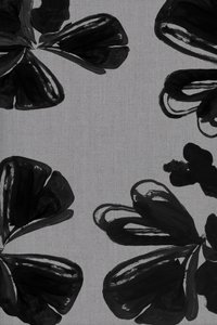 Flores pretas modernas de cartissi