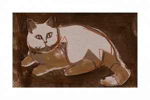 Gato moderno a descansar de cartissi