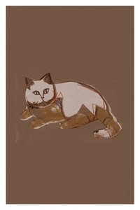 Gato com estilo moderno de cartissi