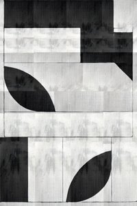 Formas orgânicas monocromáticas de cartissi