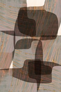 Formas orgânicas suaves de cartissi