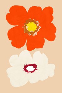 Flores laranja e brancas de cartissi