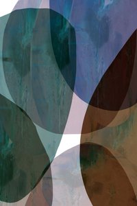 Formas abstratas orgânicas de cartissi