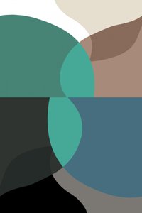 Equilíbrio de cores orgânico de cartissi